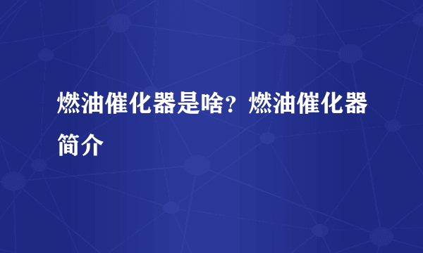 燃油催化器是啥？燃油催化器简介