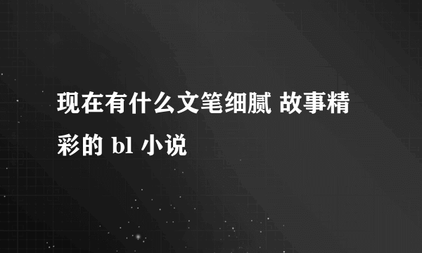 现在有什么文笔细腻 故事精彩的 bl 小说