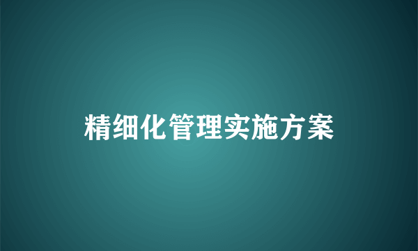 精细化管理实施方案