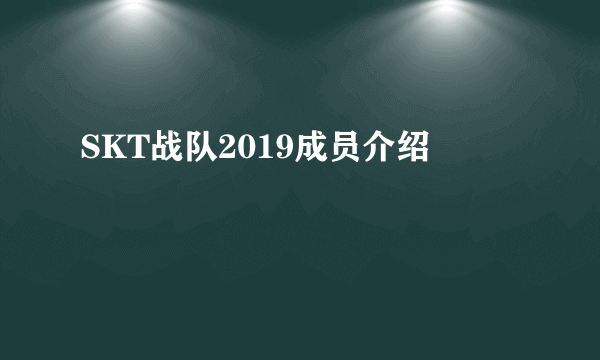 SKT战队2019成员介绍