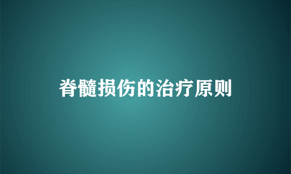 脊髓损伤的治疗原则