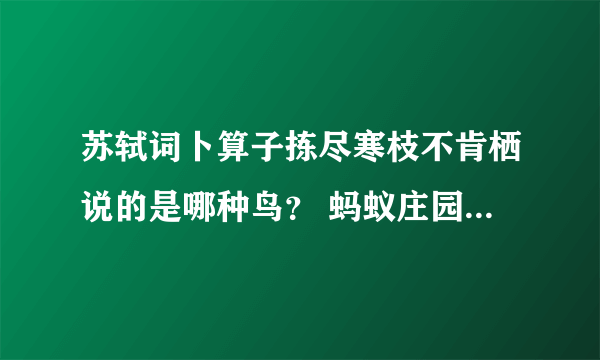 苏轼词卜算子拣尽寒枝不肯栖说的是哪种鸟？ 蚂蚁庄园今日答案11月5日