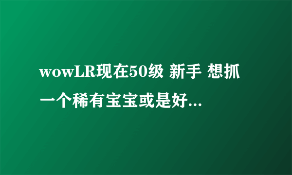 wowLR现在50级 新手 想抓一个稀有宝宝或是好一点的宝宝