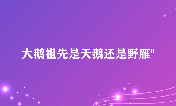 大鹅祖先是天鹅还是野雁