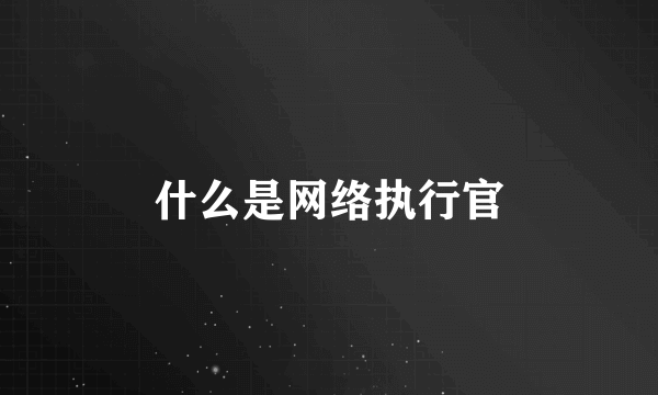 什么是网络执行官