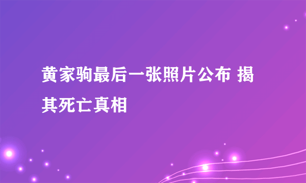 黄家驹最后一张照片公布 揭其死亡真相