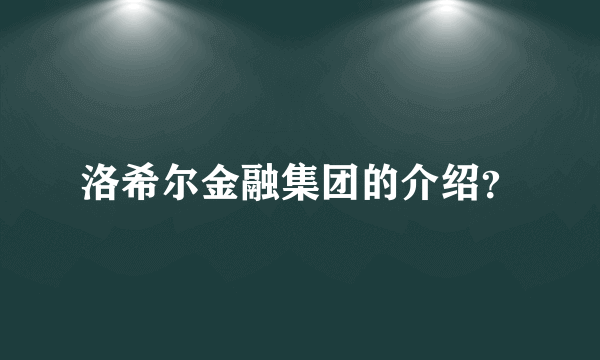 洛希尔金融集团的介绍？