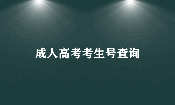 成人高考考生号查询