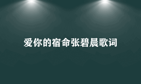 爱你的宿命张碧晨歌词