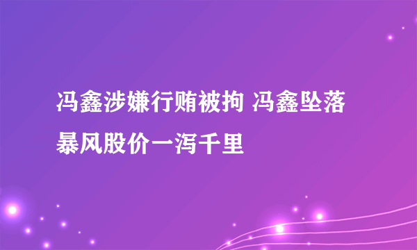 冯鑫涉嫌行贿被拘 冯鑫坠落暴风股价一泻千里