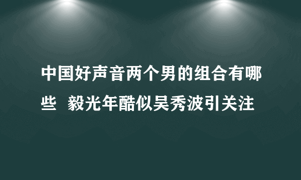 中国好声音两个男的组合有哪些  毅光年酷似吴秀波引关注