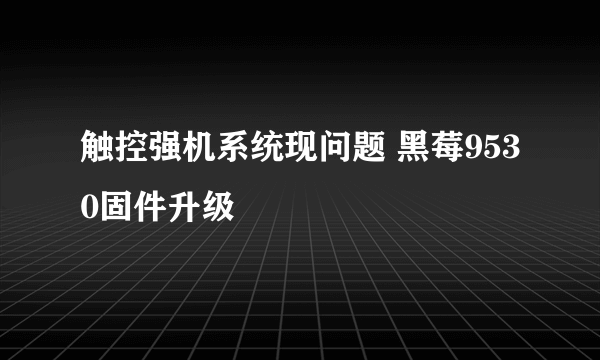 触控强机系统现问题 黑莓9530固件升级