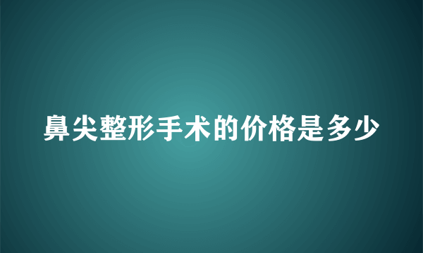 鼻尖整形手术的价格是多少