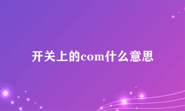 开关上的com什么意思