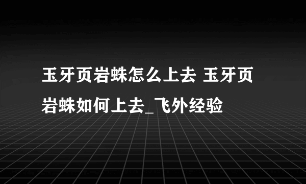 玉牙页岩蛛怎么上去 玉牙页岩蛛如何上去_飞外经验