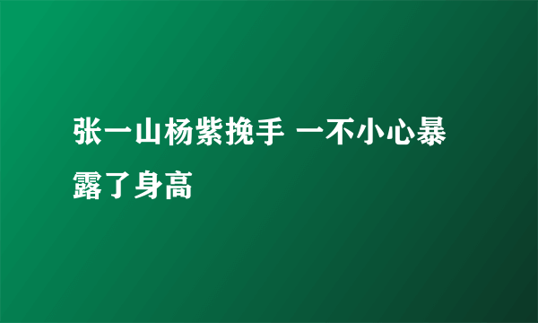 张一山杨紫挽手 一不小心暴露了身高