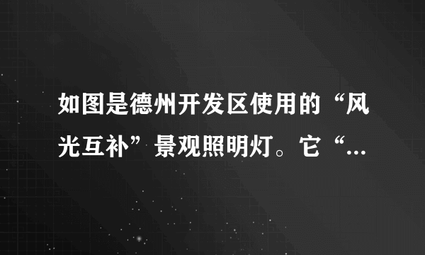 如图是德州开发区使用的“风光互补”景观照明灯。它“头顶”小风扇，“肩扛”光电池板，“腰挎”照明灯，“脚踩”蓄电池。下列解释合理的是（   ）A.光电池板是将电能转化为光能B.照明灯是将内能转化为电能C.小风扇利用风力发电，将机械能转化为电能D.蓄电池夜晚放电，将电能转化为化学能