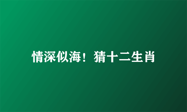 情深似海！猜十二生肖