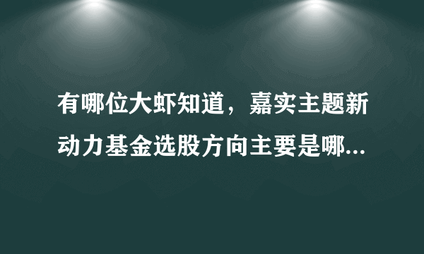 有哪位大虾知道，嘉实主题新动力基金选股方向主要是哪些方面？