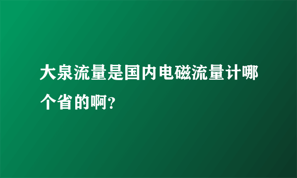 大泉流量是国内电磁流量计哪个省的啊？