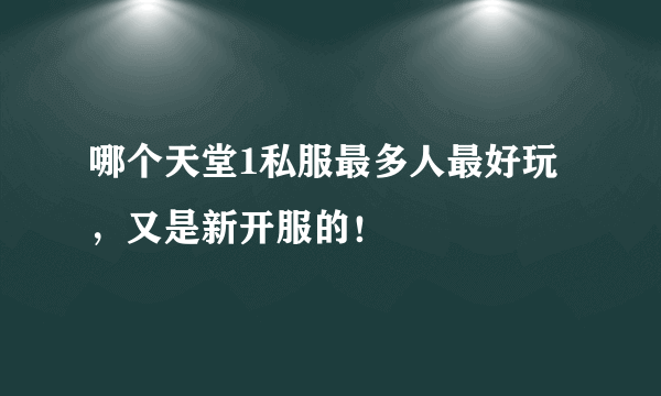 哪个天堂1私服最多人最好玩，又是新开服的！