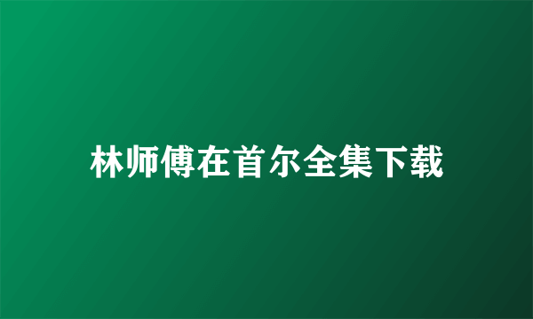 林师傅在首尔全集下载