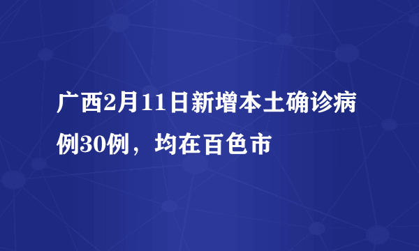 广西2月11日新增本土确诊病例30例，均在百色市