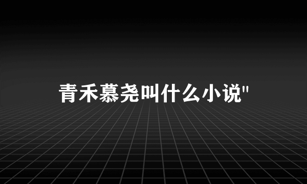 青禾慕尧叫什么小说