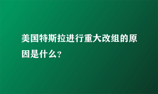 美国特斯拉进行重大改组的原因是什么？