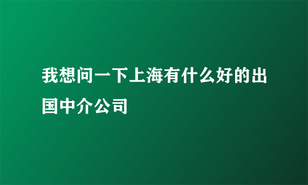 我想问一下上海有什么好的出国中介公司