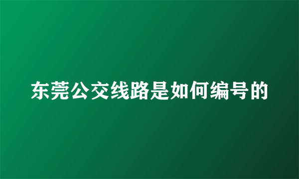 东莞公交线路是如何编号的