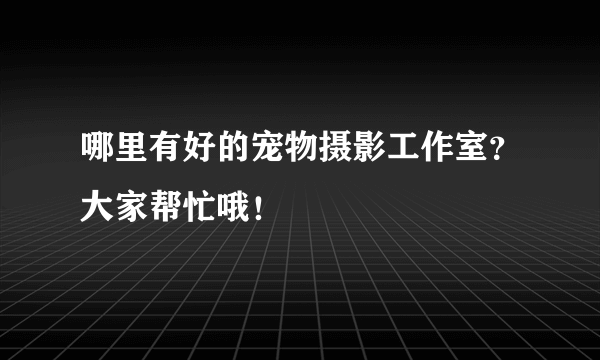 哪里有好的宠物摄影工作室？大家帮忙哦！