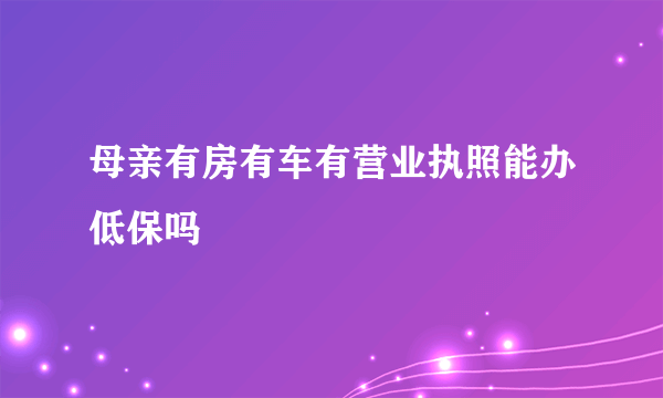 母亲有房有车有营业执照能办低保吗