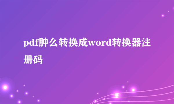 pdf肿么转换成word转换器注册码