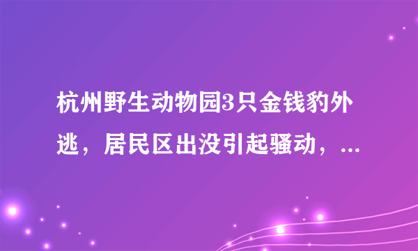 杭州野生动物园3只金钱豹外逃，居民区出没引起骚动，市民该怎么办？