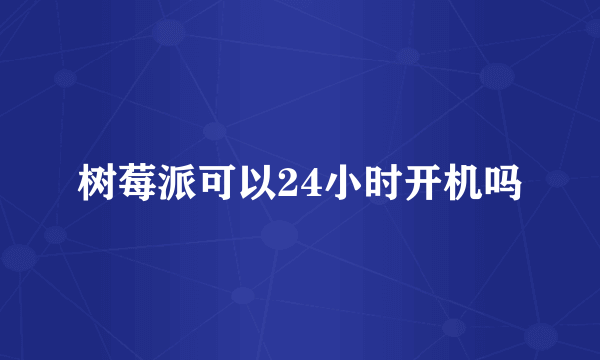 树莓派可以24小时开机吗