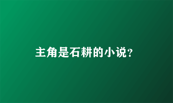 主角是石耕的小说？