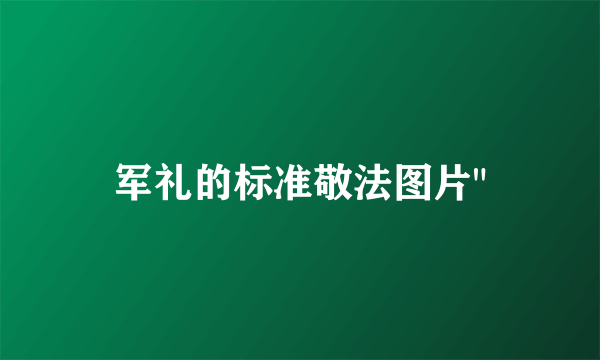 军礼的标准敬法图片