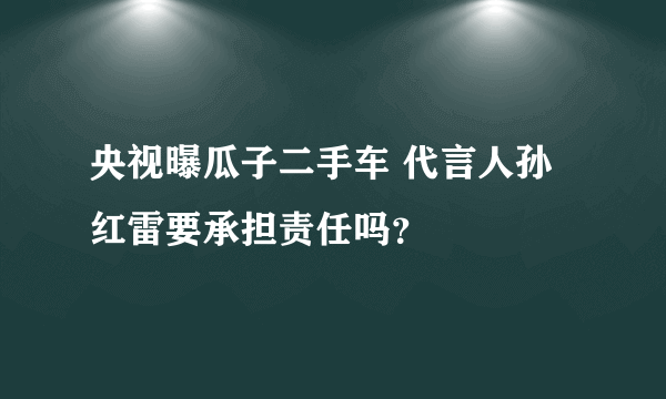 央视曝瓜子二手车 代言人孙红雷要承担责任吗？