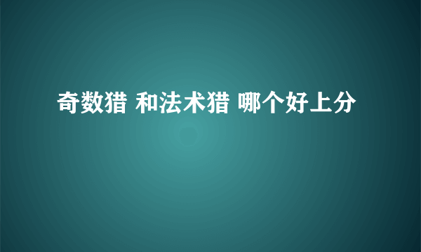 奇数猎 和法术猎 哪个好上分