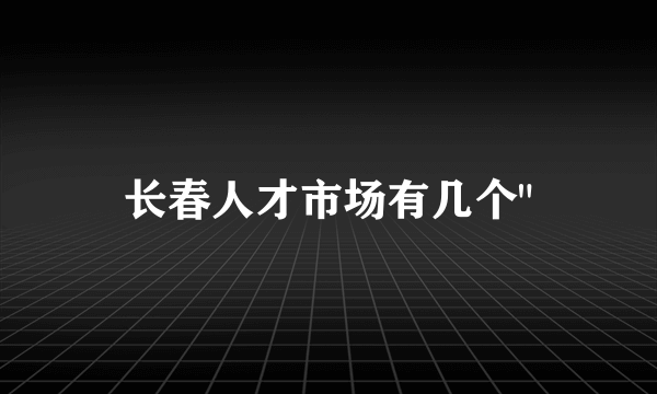 长春人才市场有几个