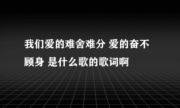 我们爱的难舍难分 爱的奋不顾身 是什么歌的歌词啊