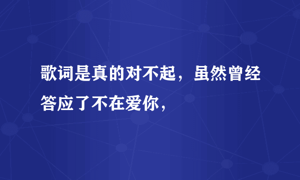 歌词是真的对不起，虽然曾经答应了不在爱你，