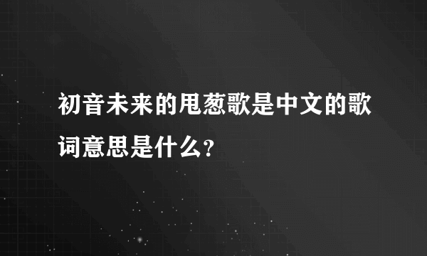 初音未来的甩葱歌是中文的歌词意思是什么？