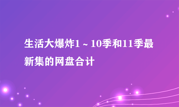 生活大爆炸1～10季和11季最新集的网盘合计