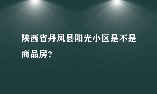 陕西省丹凤县阳光小区是不是商品房？