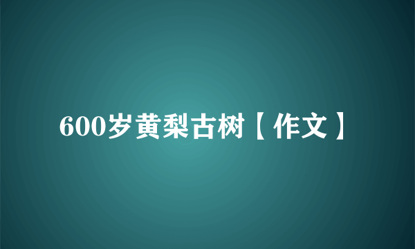 600岁黄梨古树【作文】