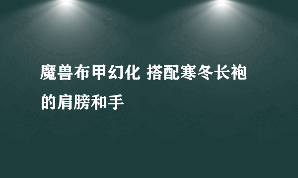 魔兽布甲幻化 搭配寒冬长袍的肩膀和手