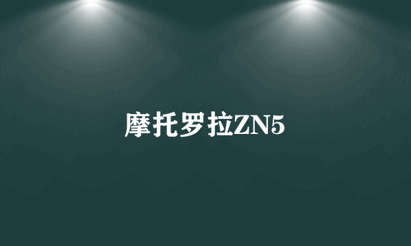 摩托罗拉ZN5