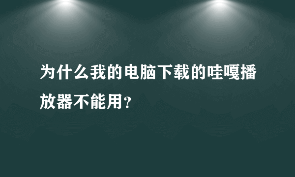 为什么我的电脑下载的哇嘎播放器不能用？